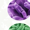 Akkermansia muciniphila ingredient